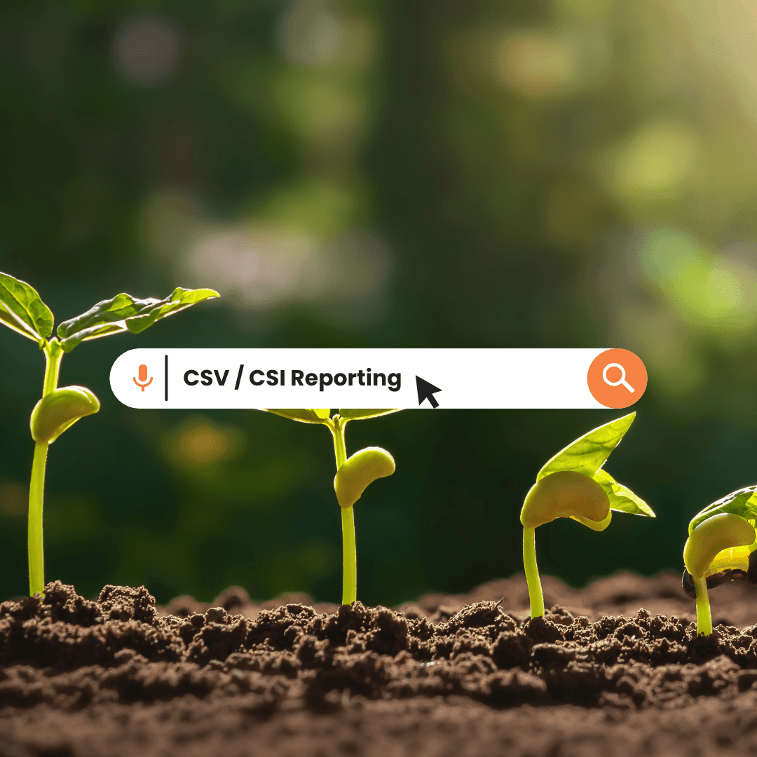 CSV / CSI Reporting